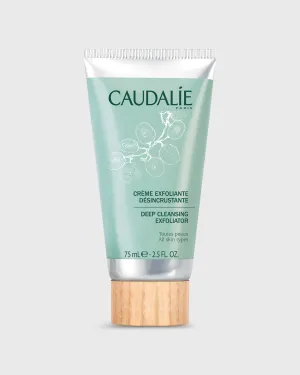 Deep Cleansing Exfoliator