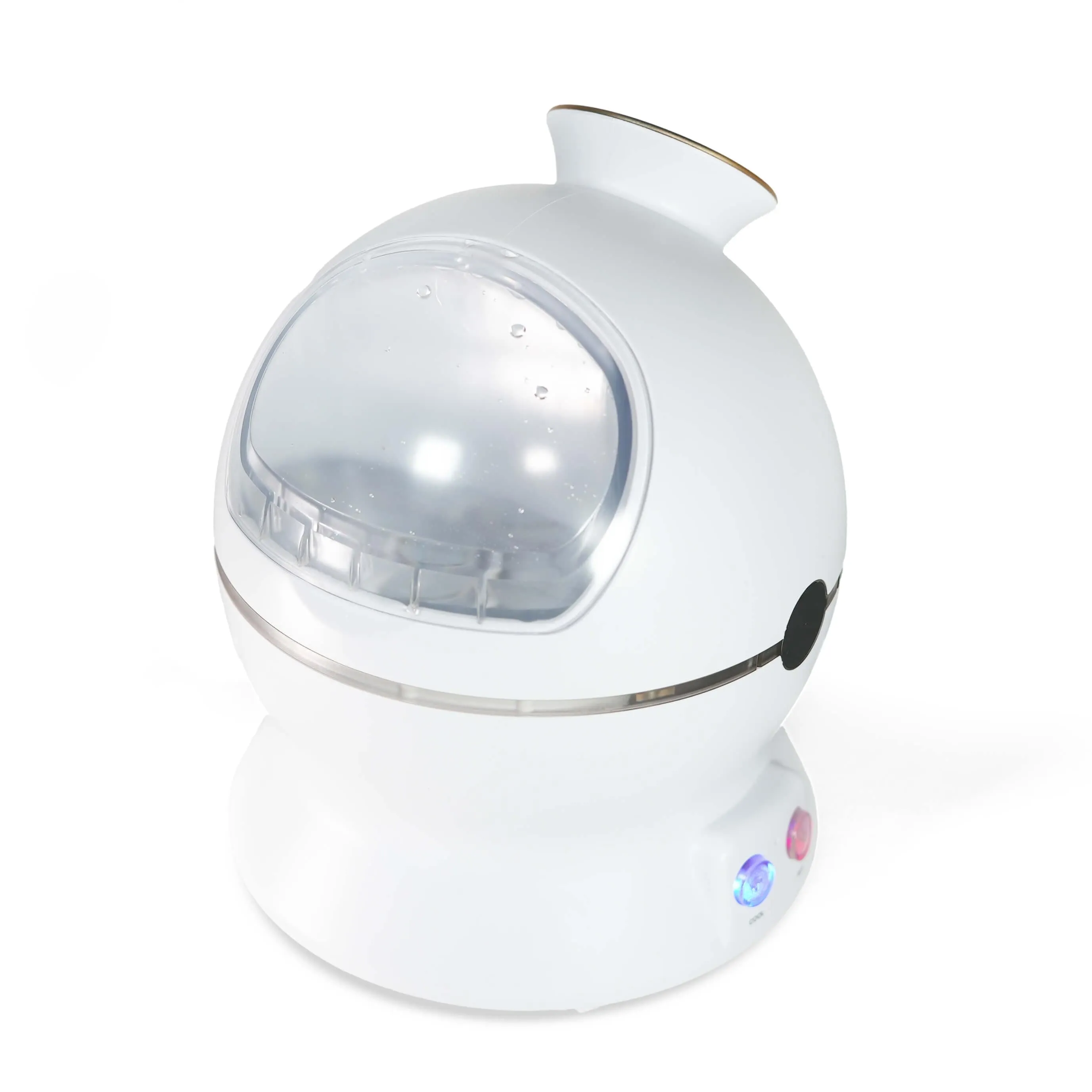 Professional Nano Facial Steamer