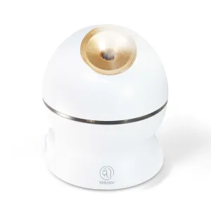 Professional Nano Facial Steamer